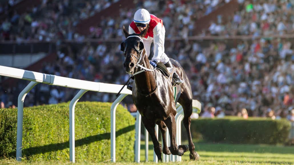 Famous Racehorses: Who is the Greatest of All Time?