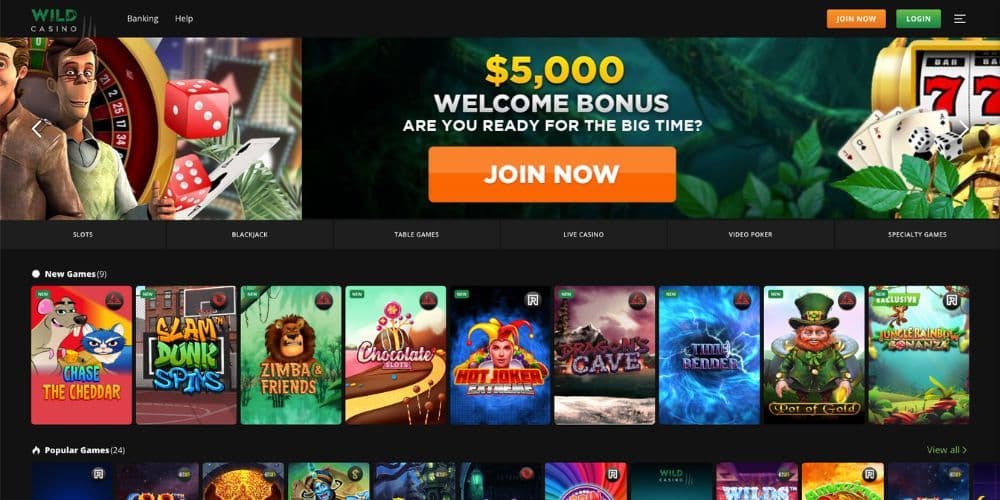 Wild Casino Review 2024: Is It a Legit US Casino?